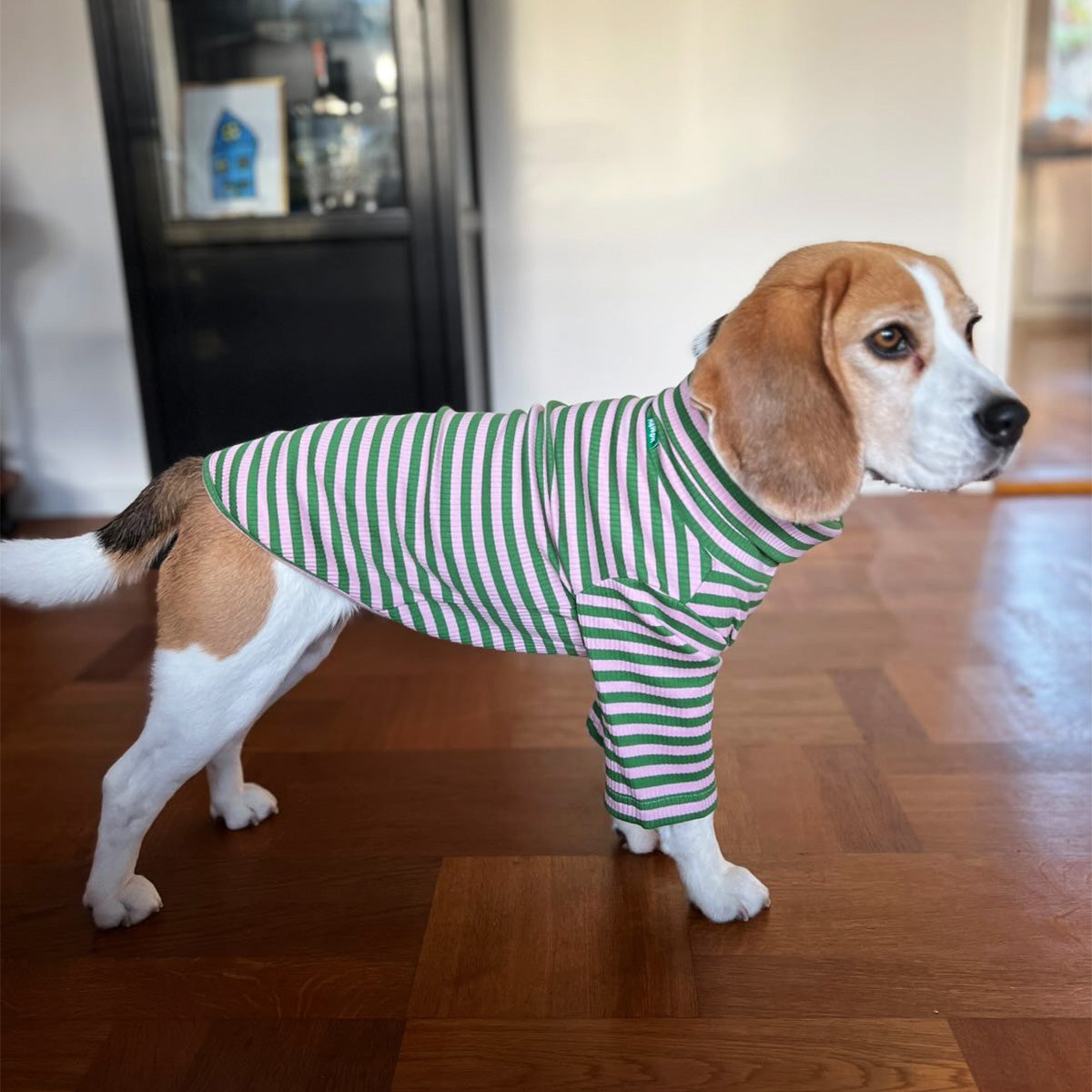 Sweater Ribbed Cotton, Green/Pink, XL