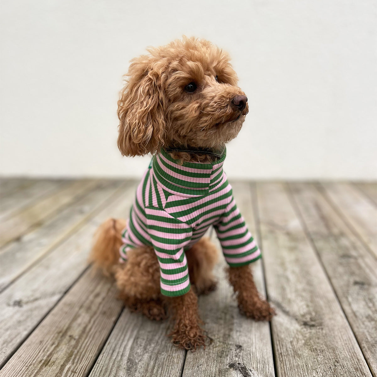 Tröja i Ribbad Bomull, Randig (Grön/Rosa), XXS