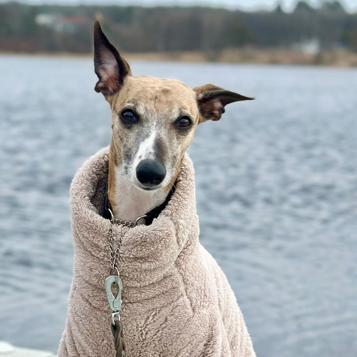 Tröja i Stretchig Fleece, Beige, XL