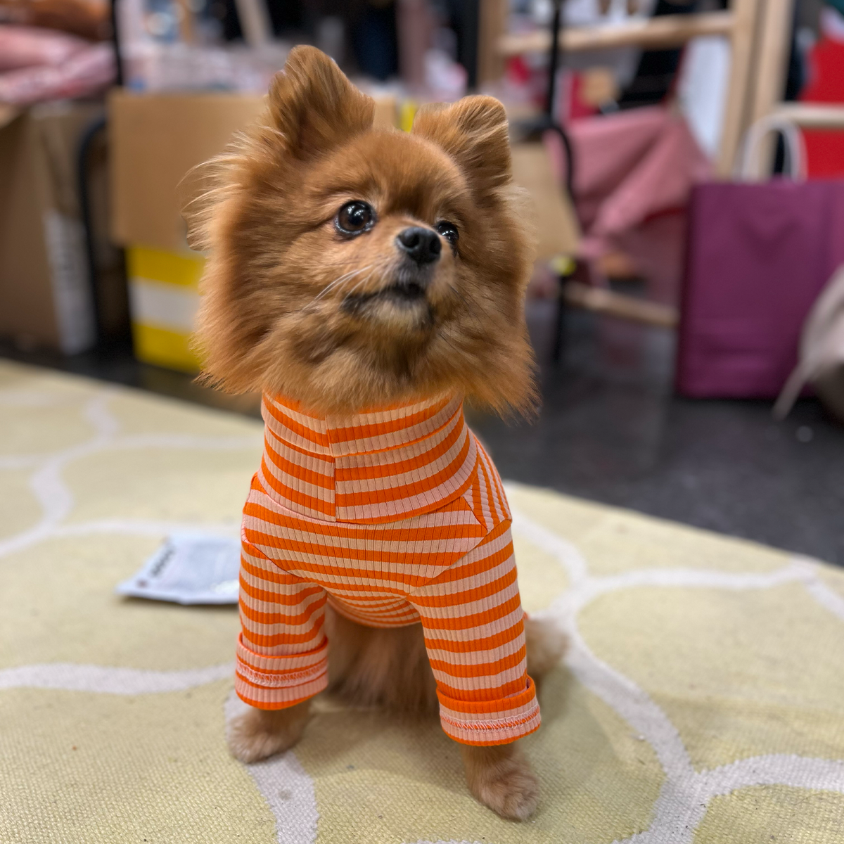 Overall i Ribbad Bomull, Randig (Orange/Aprikos), S