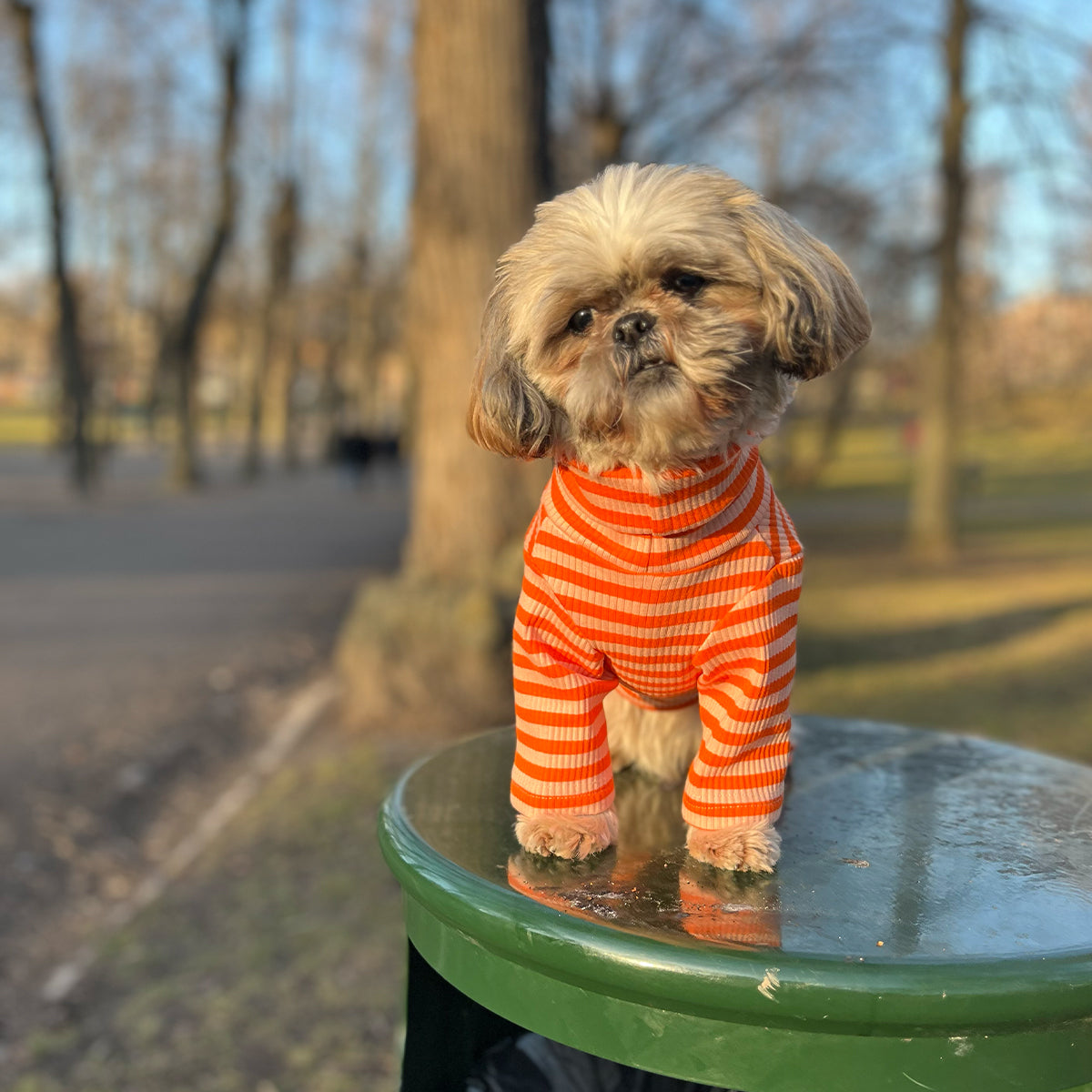 Overall i Ribbad Bomull, Randig (Orange/Aprikos), S