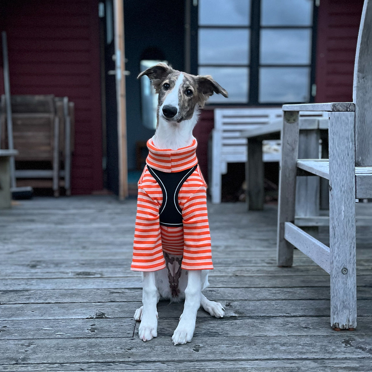 Sweater Ribbed Cotton, Orange/Apricot, XL