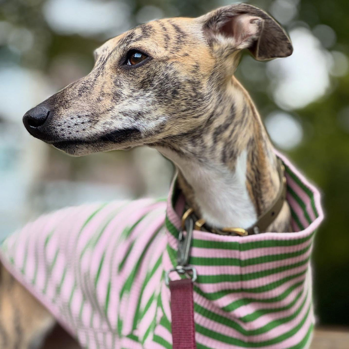 Sweater Ribbed Cotton, Green/Pink, XL