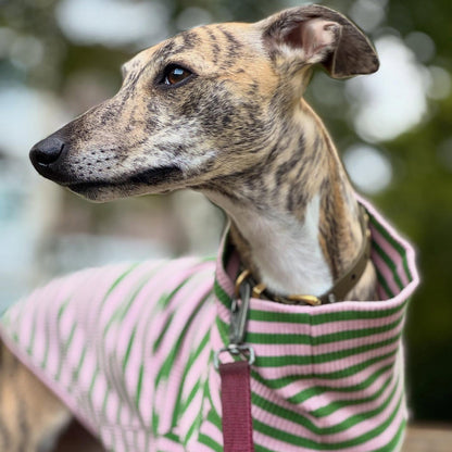 Sweater Ribbed Cotton, Green/Pink, XL