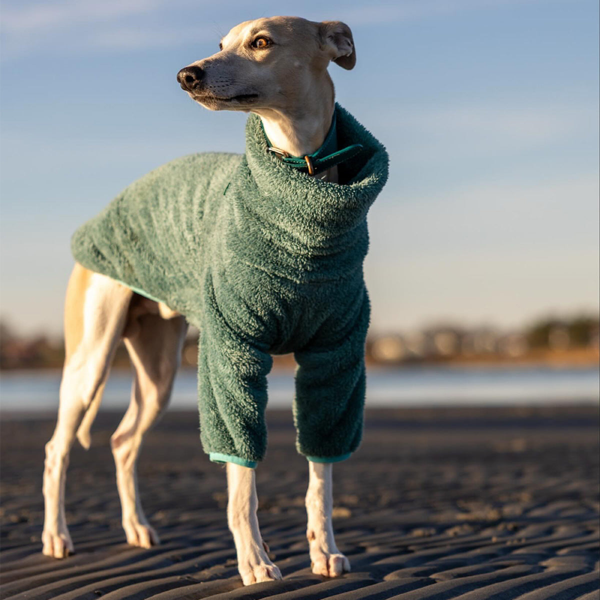 Sweater Fleece, Blue, XL