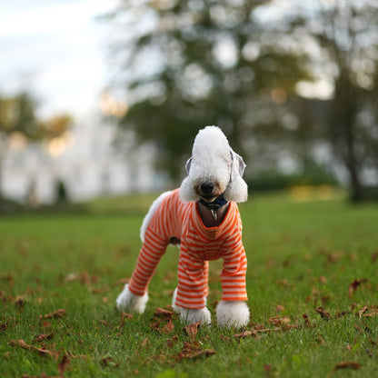 Jumpsuit Ribbed Cotton, Orange/Apricot, L