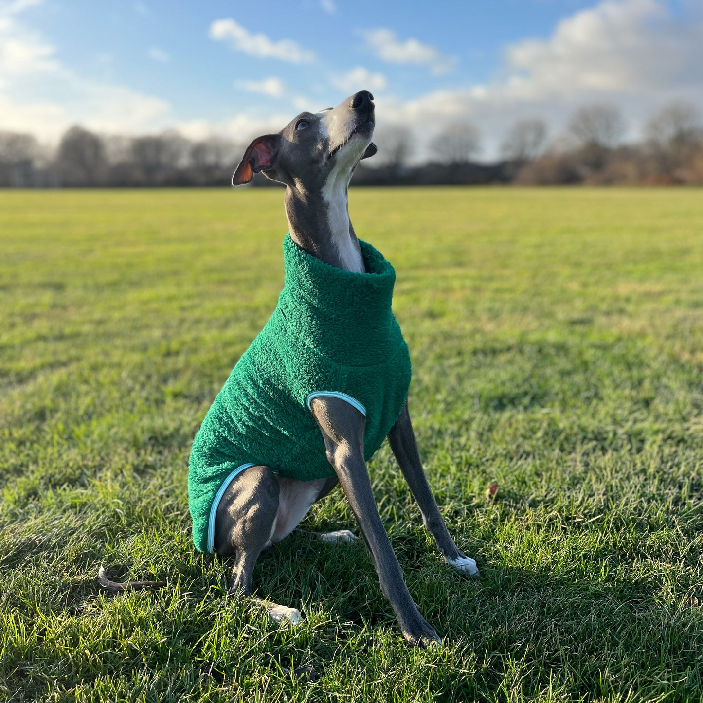 Väst i Stretchig Fleece, Grön, XL