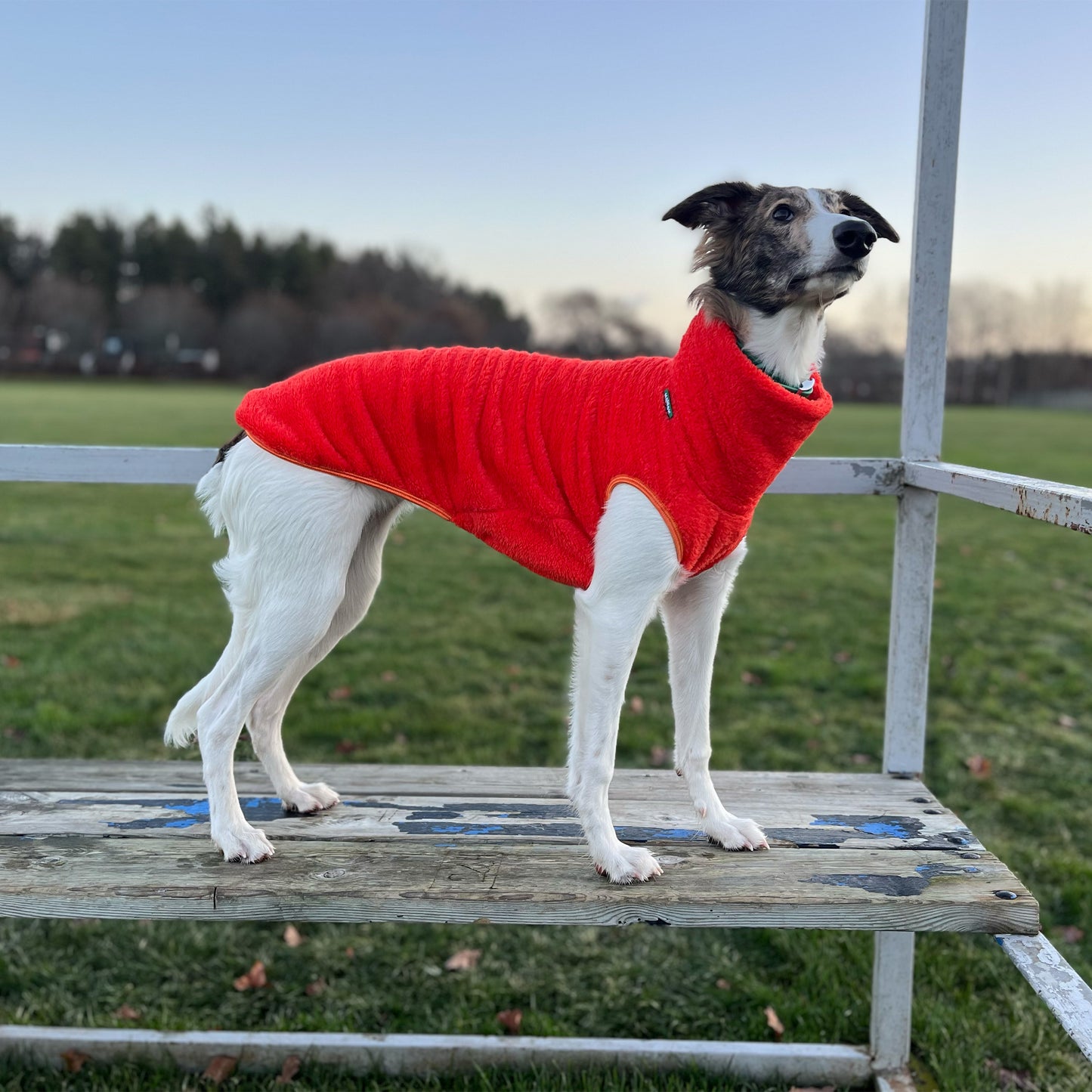 Vest Fleece, Orange, 2XL