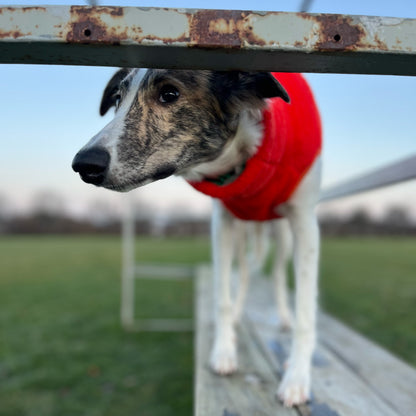 Vest Fleece, Orange, 2XL