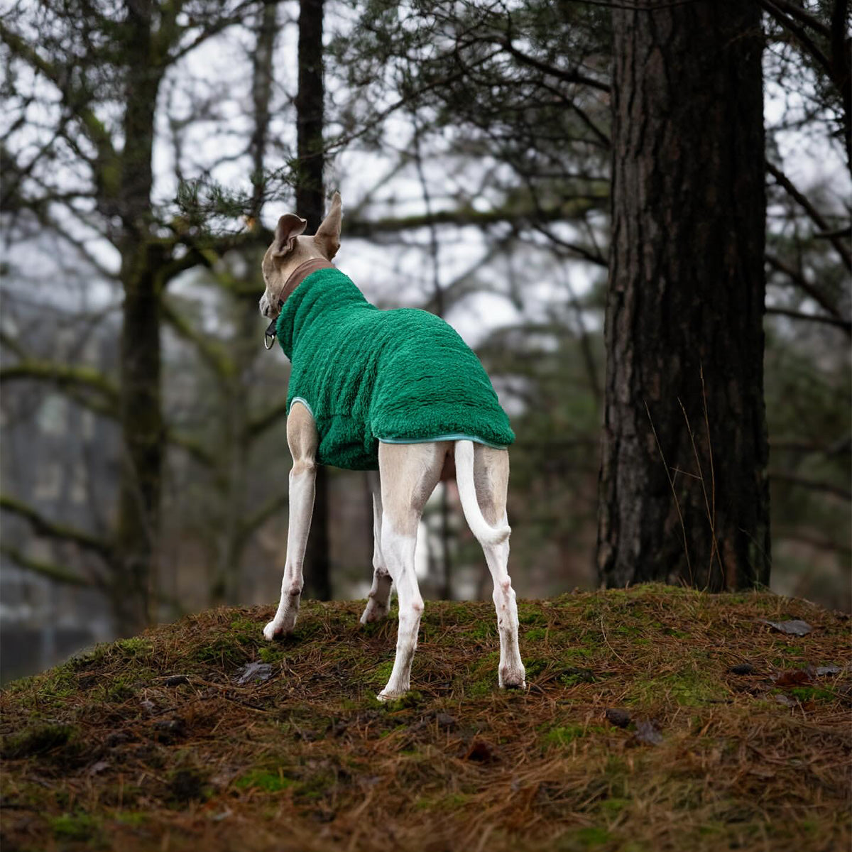 Väst i Stretchig Fleece, Grön, 2XL