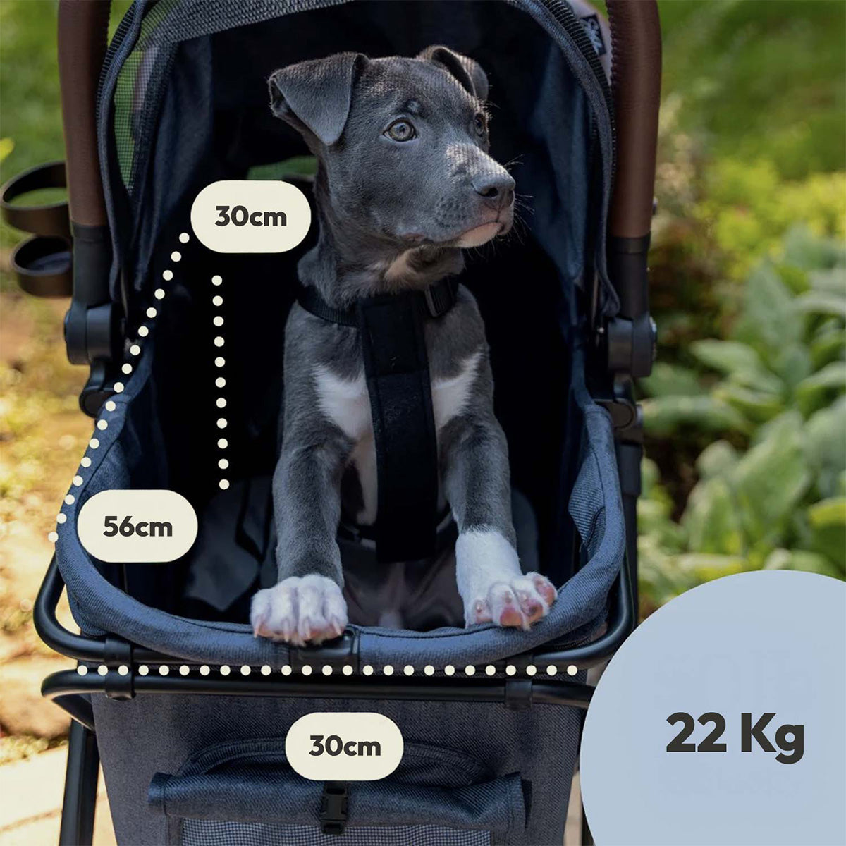 Strolee Stora Hundpaketet (spara 1 198 kr)