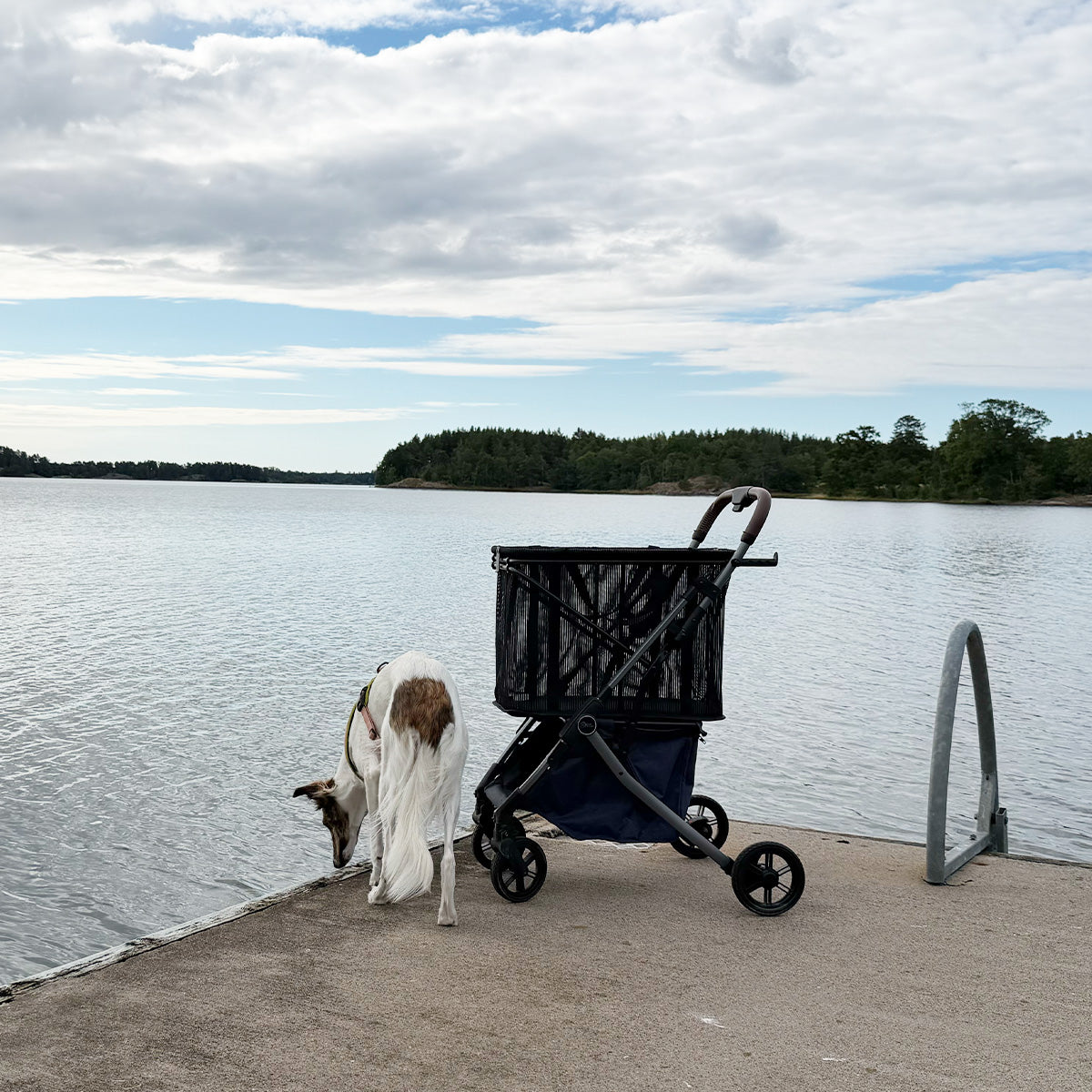 Strolee Shoppingvagn, Svart